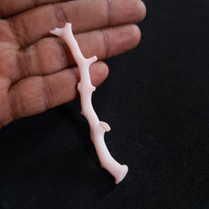 Natural Japanese Pink Coral Branch 24.15 Carat Rough Gemstone