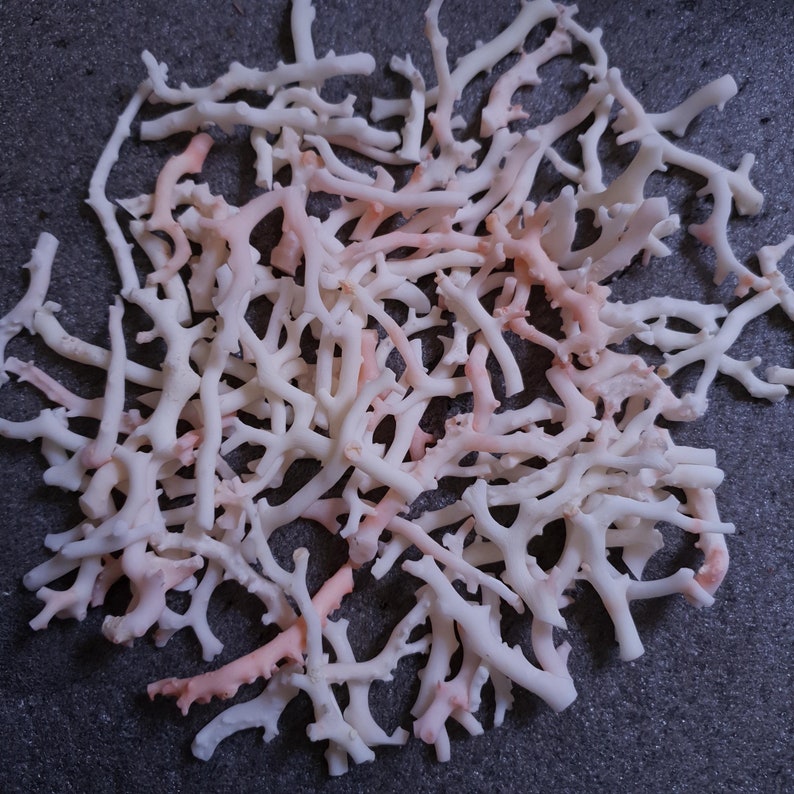 May include: A collection of white and pink coral branches, perfect for crafting or home decor.
