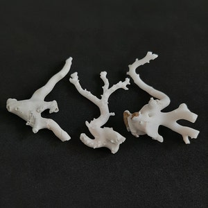 May include: Three white coral pieces with intricate branching patterns. The coral is delicate and has a natural, organic texture.