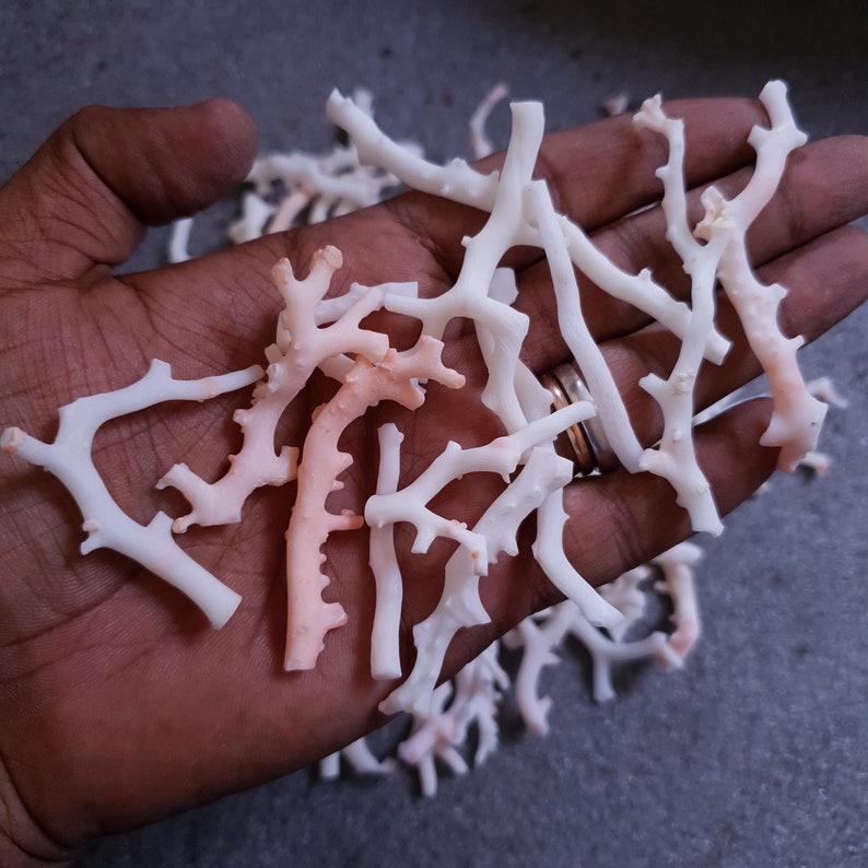 May include: A collection of white and pink coral branches. The coral is natural and has a rough texture. The branches are various sizes and shapes.