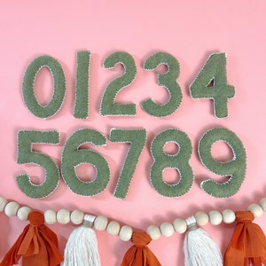 Felt Numbers, learning toys, educational toy, numbers set for kids, montessori toys