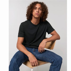 ORGANIC men's basic T-shirt, many colors