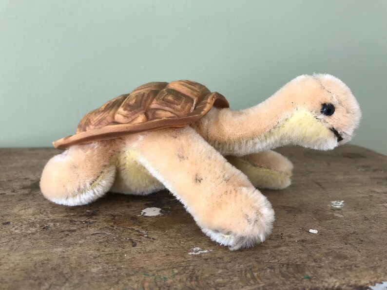 steiff turtle