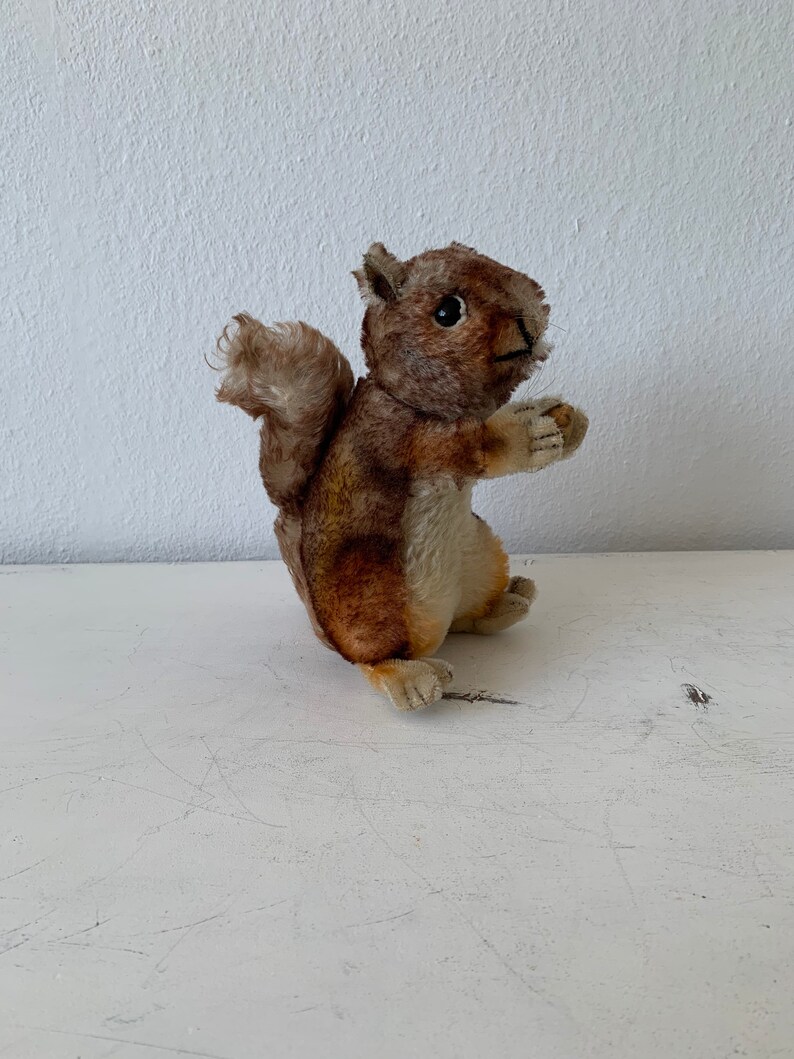 steiff squirrel