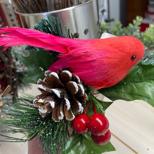 Bird Nest Pine Pick