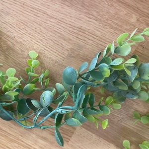 6’ Frosted Boxwood Garland - CS14050