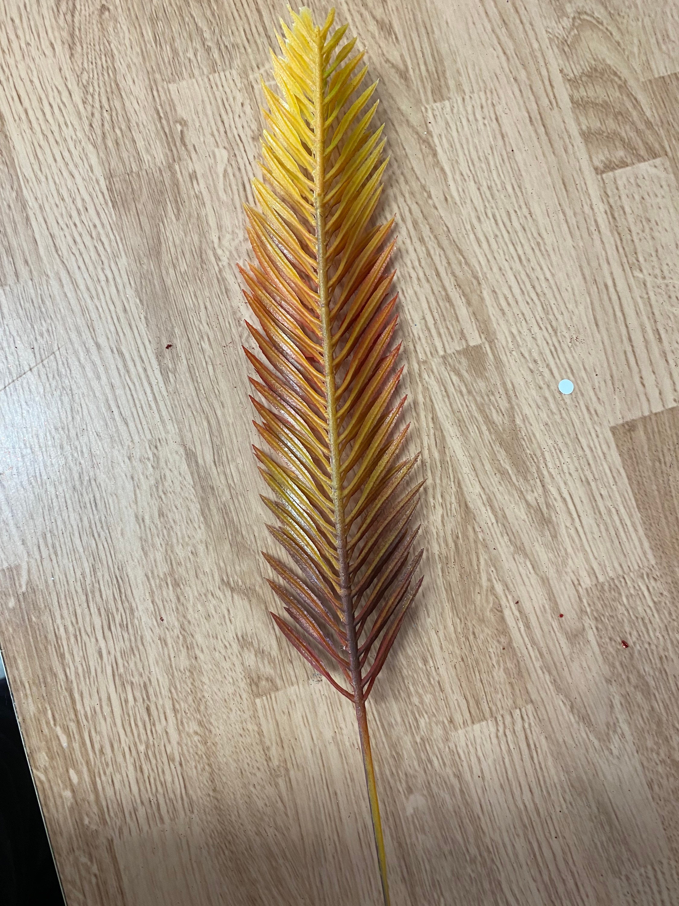 360design / Brown Feather | ochge.org