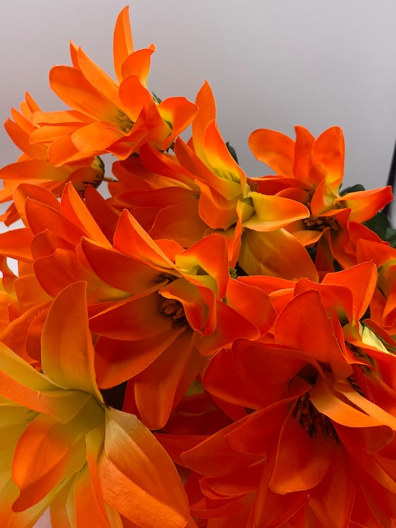 X24 Satin Starburst Dahlia - Orange CS21016O - Etsy