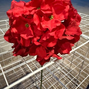 May include: A large, vibrant red artificial flower with green accents in the centre. The flower is supported by a green stem and a purple flower is visible at the base. The flower is placed on a white wire grid.