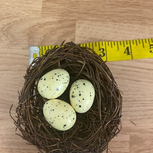 Bird Nest With 3 Eggs - WF144