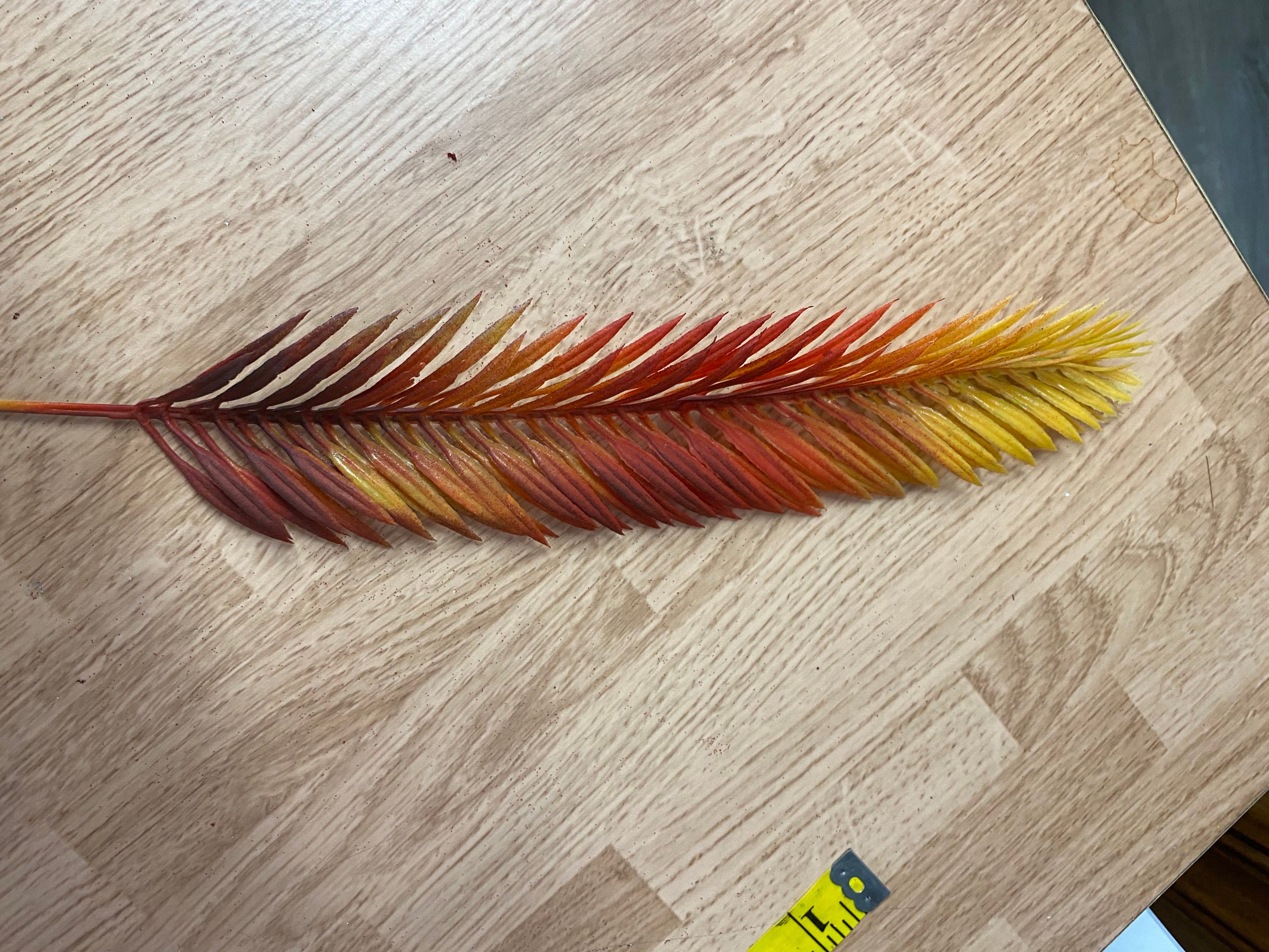 360design / Brown Feather | ochge.org