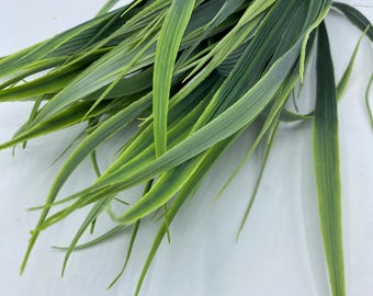 x7 Grass - Variegated Green - CS12079