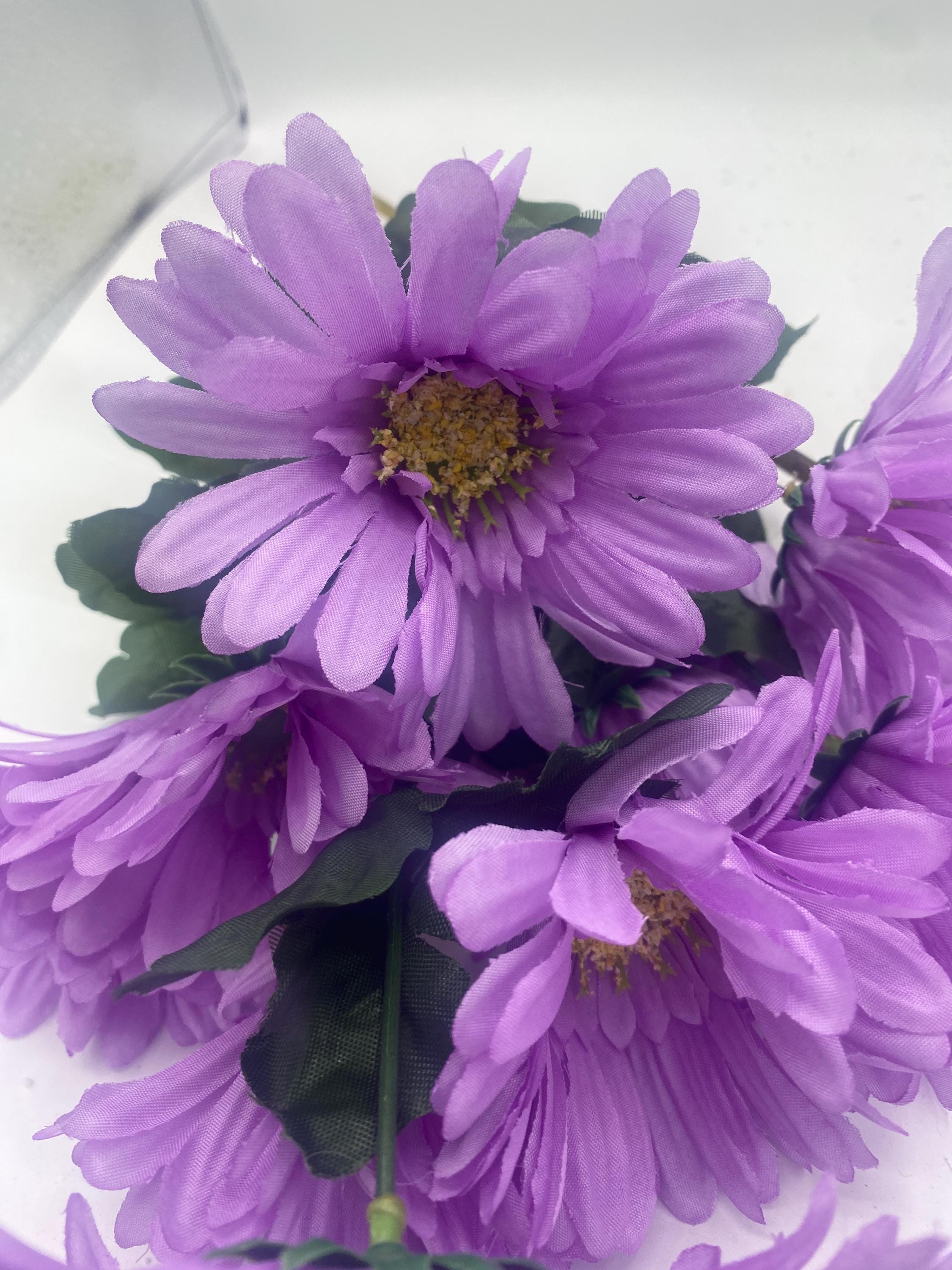 X9 ガーバーデイジー 4.5 インチ ヘッド - パープル CS12926P - Etsy 日本, image size:2250x3000