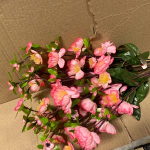 X10 Cherry Blossom - Pink - CS12244PK