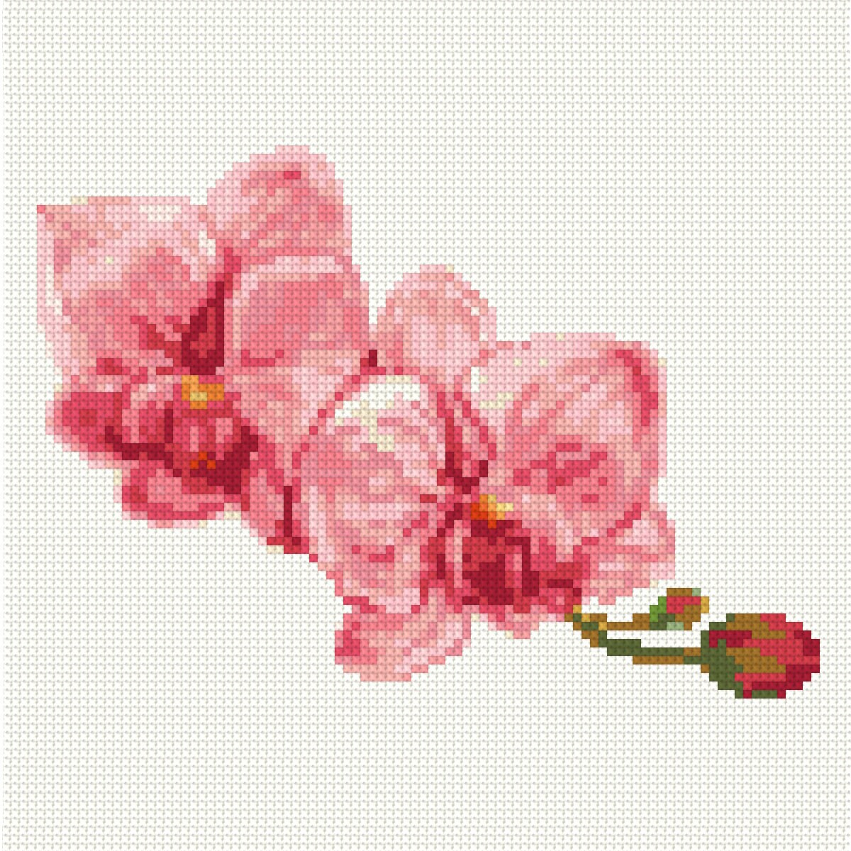 4 Pcs SET Orchids Flowers Cross Stitch Patterns PDF Small | Etsy
