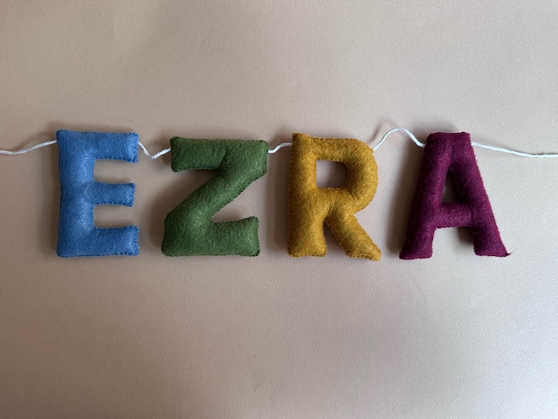 Felt Name Bunting, Personalized Nursery Name Banner, Custom Pastel Letter Garland, New Baby Shower Gift, Kids Room Sign image 15