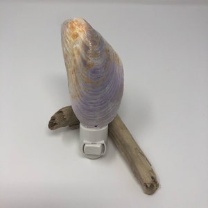 May include: A purple and orange seashell nightlight with a white cord and switch. The nightlight is sitting on a piece of driftwood.