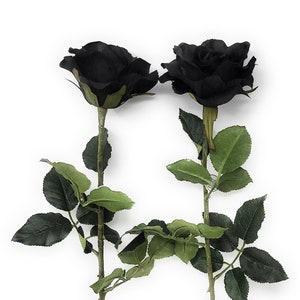 26&quot; Black Rose, Artificial Blooming Blossoms Flower Stem (Set of 2)