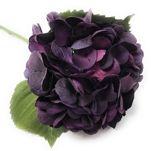 May include: A bouquet of purple hydrangeas with green leaves.