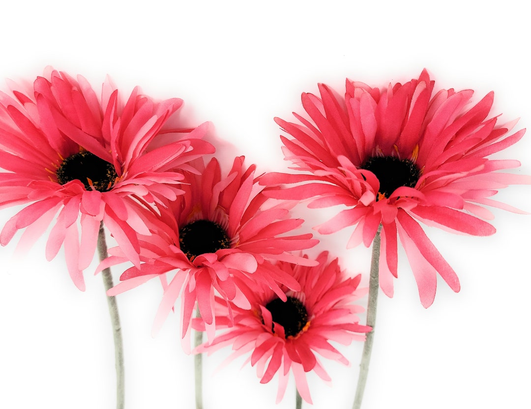 Pink Gerbera Daisy Artificial Flower Blossom Stems, Floral Decor set of