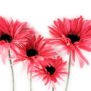 Pink Gerbera Daisy Artificial Flower Blossom Stems, Floral Decor (Set of 4)
