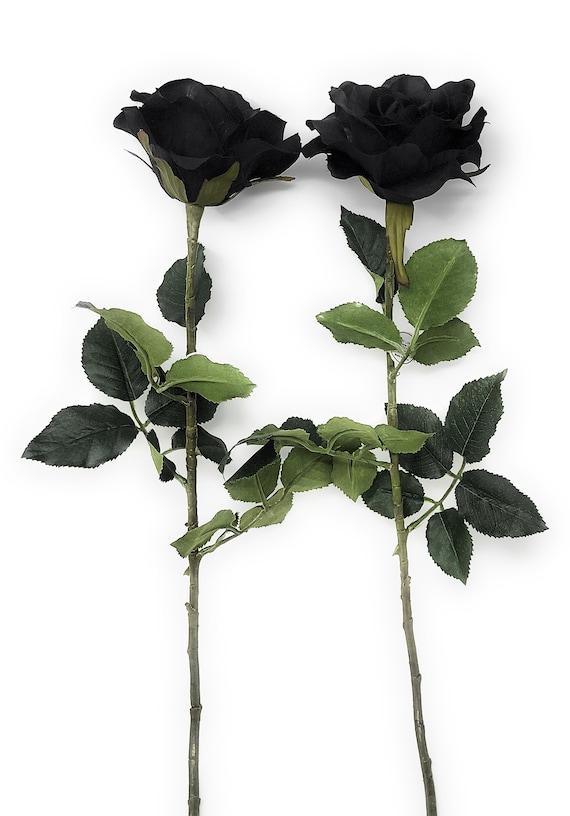 26" Black Rose, Artificial Blooming Blossoms Flower Stem (Set of 2)