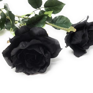 May include: Two black roses with green stems and leaves. The roses are arranged on a white background.