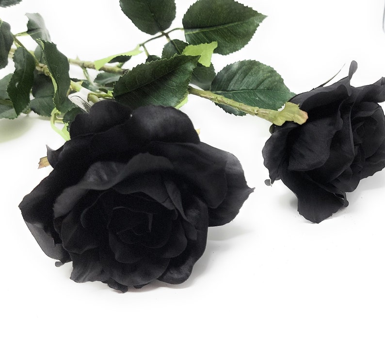 May include: Two black roses with green stems and leaves. The roses are arranged on a white background.