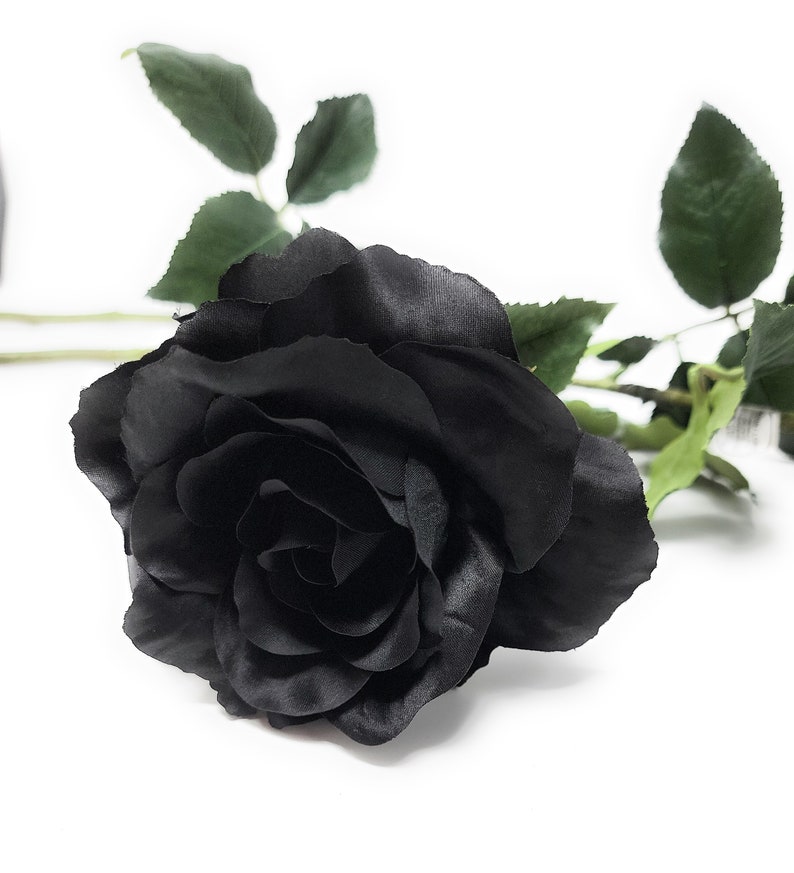 May include: A single black silk rose with green leaves.