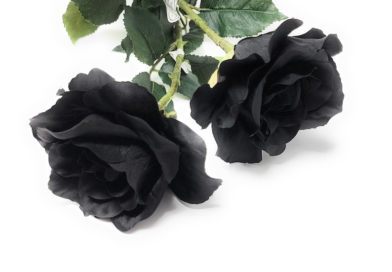 May include: Two black artificial roses with green stems and leaves.