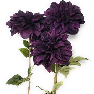 May include: Three deep purple dahlia flowers with green leaves and stems.