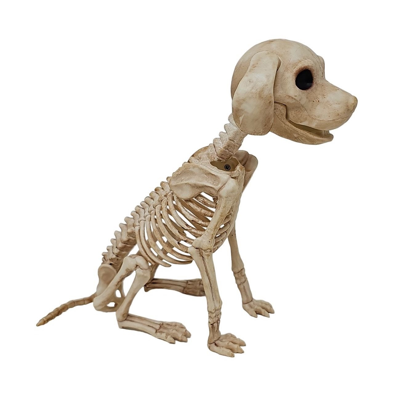 Skeleton Action Figures Skeleton Dog Skeleton Child Skeleton Animal  Halloween Decor Christmas Gift Xmas Present 12th Scale 