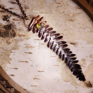 Pode incluir: Colar com pingente de samambaia de cobre feito à mão. O pingente apresenta um design detalhado de fronde de samambaia com um pequeno detalhe de pedra preciosa verde. O colar pende de uma delicada corrente de cobre, mostrando uma joia inspirada na natureza.