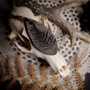 Pode incluir: Um colar com pingente oval marrom escuro com um desenho de folha de samambaia. O pingente é suspenso por um cordão de couro preto. O colar repousa sobre um crânio e uma toalha de renda, com chifres e plantas secas ao fundo.