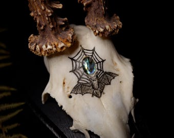 Bat Cave - Deer Skull