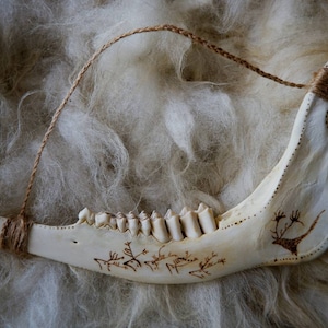 Lascaux - Deer Jaw