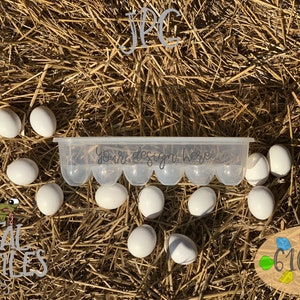 Egg Container Egg Carton Mockup JPG