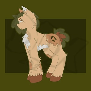 Pony adopt