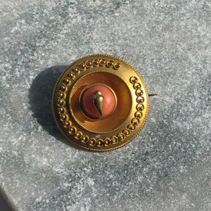 Antique Victorian 18 Karat Gold Coral Serpent Mourning Brooch