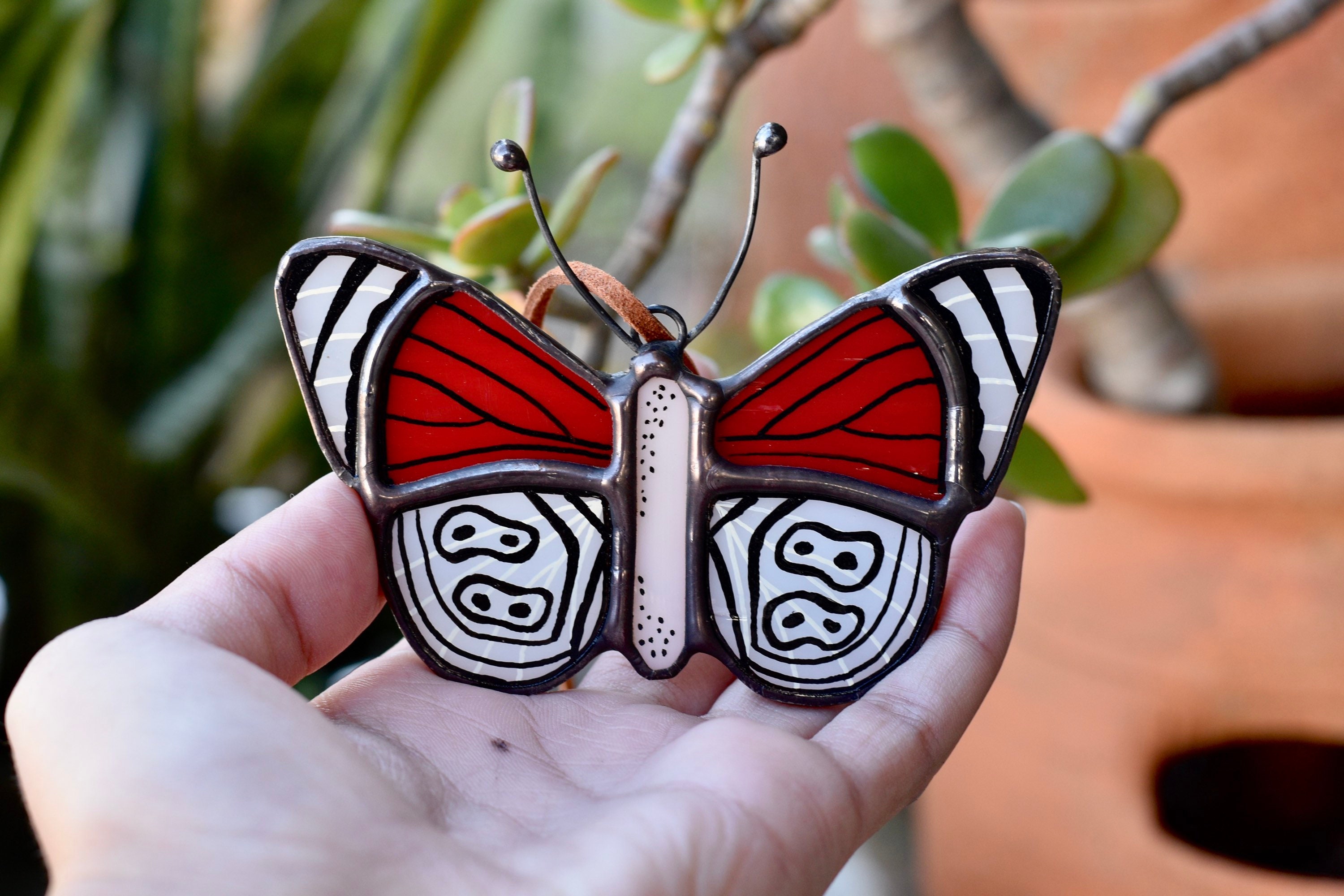 Diaethria Anna Butterfly | Anna's Eighty-eight Butterfly | Red and