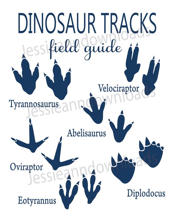 Download Free Dinosaur Wall Decor Dinosaur Nursery Wall Art Dino Footprints Etsy SVG Cut Files