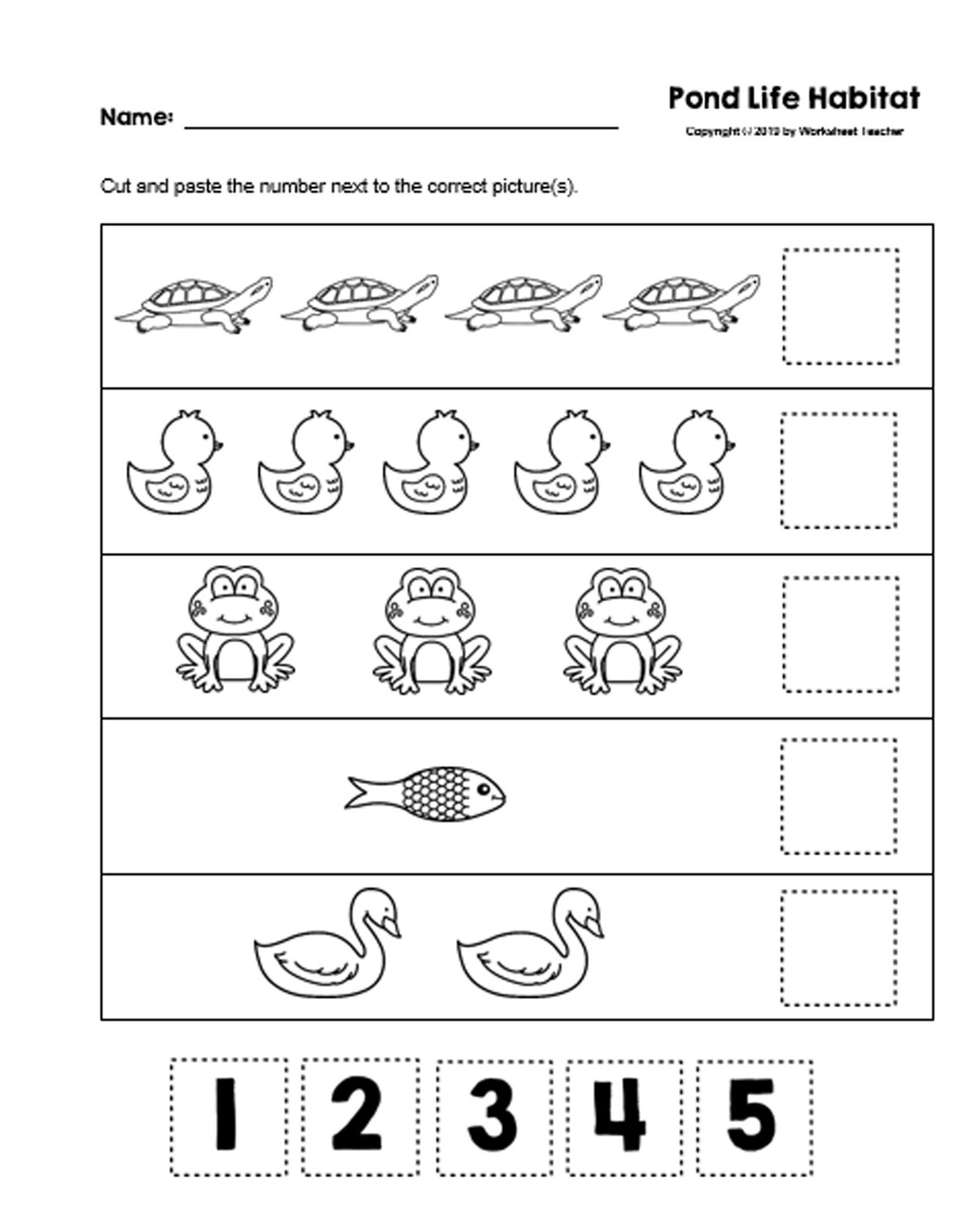 10 Pond Life Habitat Preschool Curriculum Activities Etsy 10-pond-life-habitat-preschool-curriculum-activities-etsy