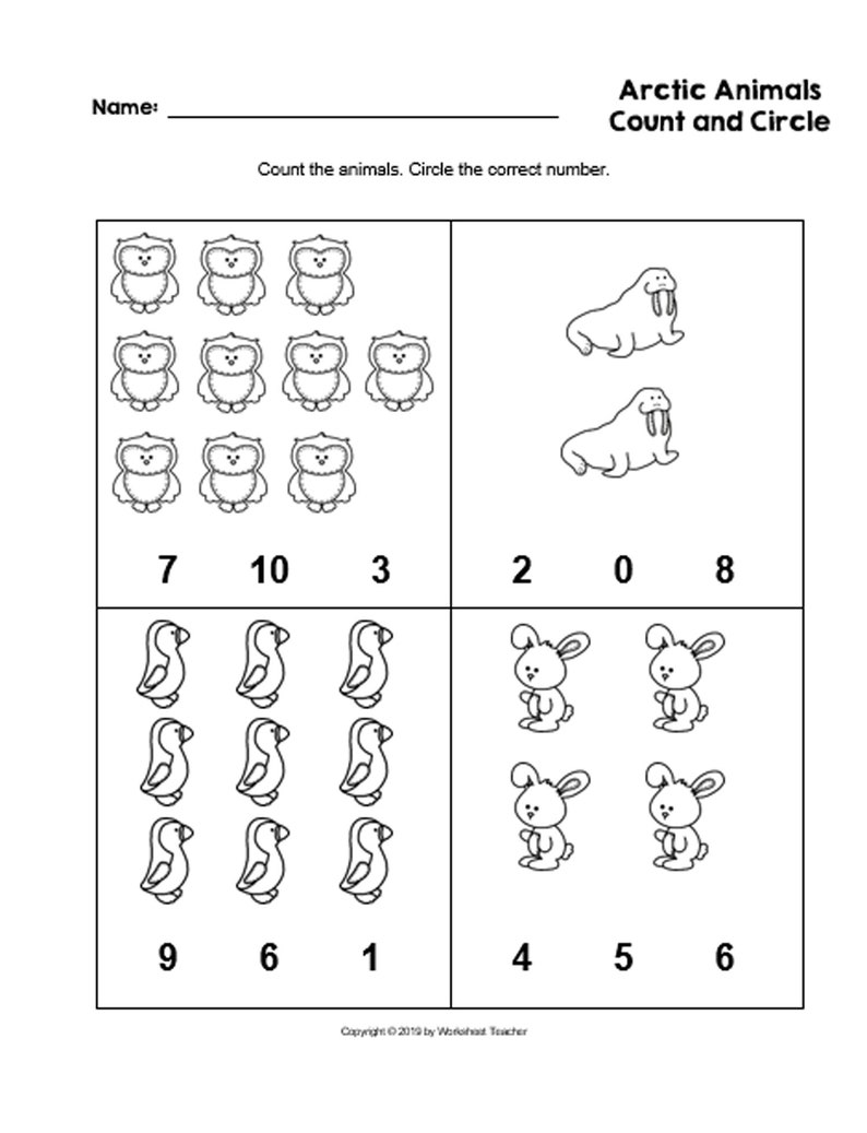 10 arctic animals preschool curriculum activities