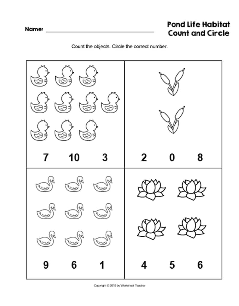 Preschool B/&W Worksheets PDF Digital Download 10 Pond Life Habitat Preschool Curriculum Activities
