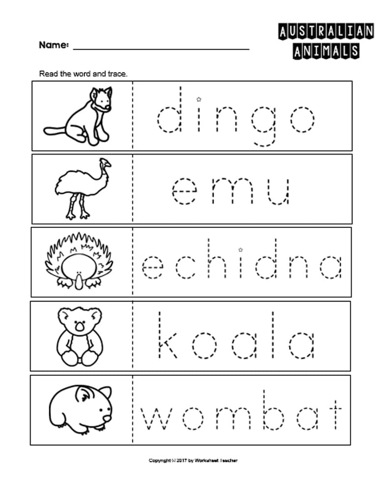 10 Australian Animals Preschool Curriculum Activities | Etsy