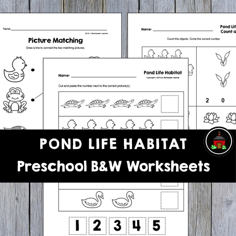 Preschool B/&W Worksheets PDF Digital Download 10 Pond Life Habitat Preschool Curriculum Activities