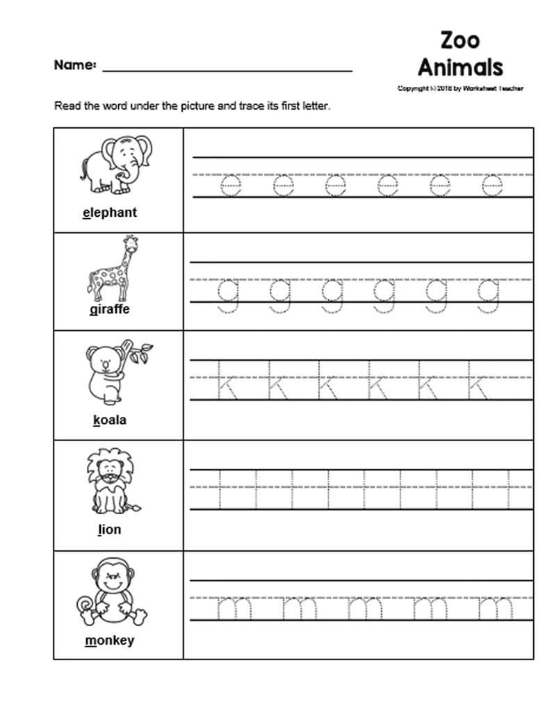 25 zoo animals preschool curriculum activities preschool b