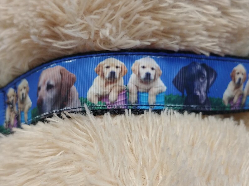 Labrador Retriever Dog Collar Lab Dog Collar Dog Collar Designer Dog Collar Custom Dog Collar Adjustable 1 Wide Dog Accessories