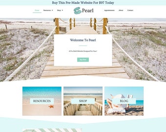 WordPress website template for Ecommerce, WordPress Website Design, Website Template Design, Ecommerce Website Designer, Theme Customizable