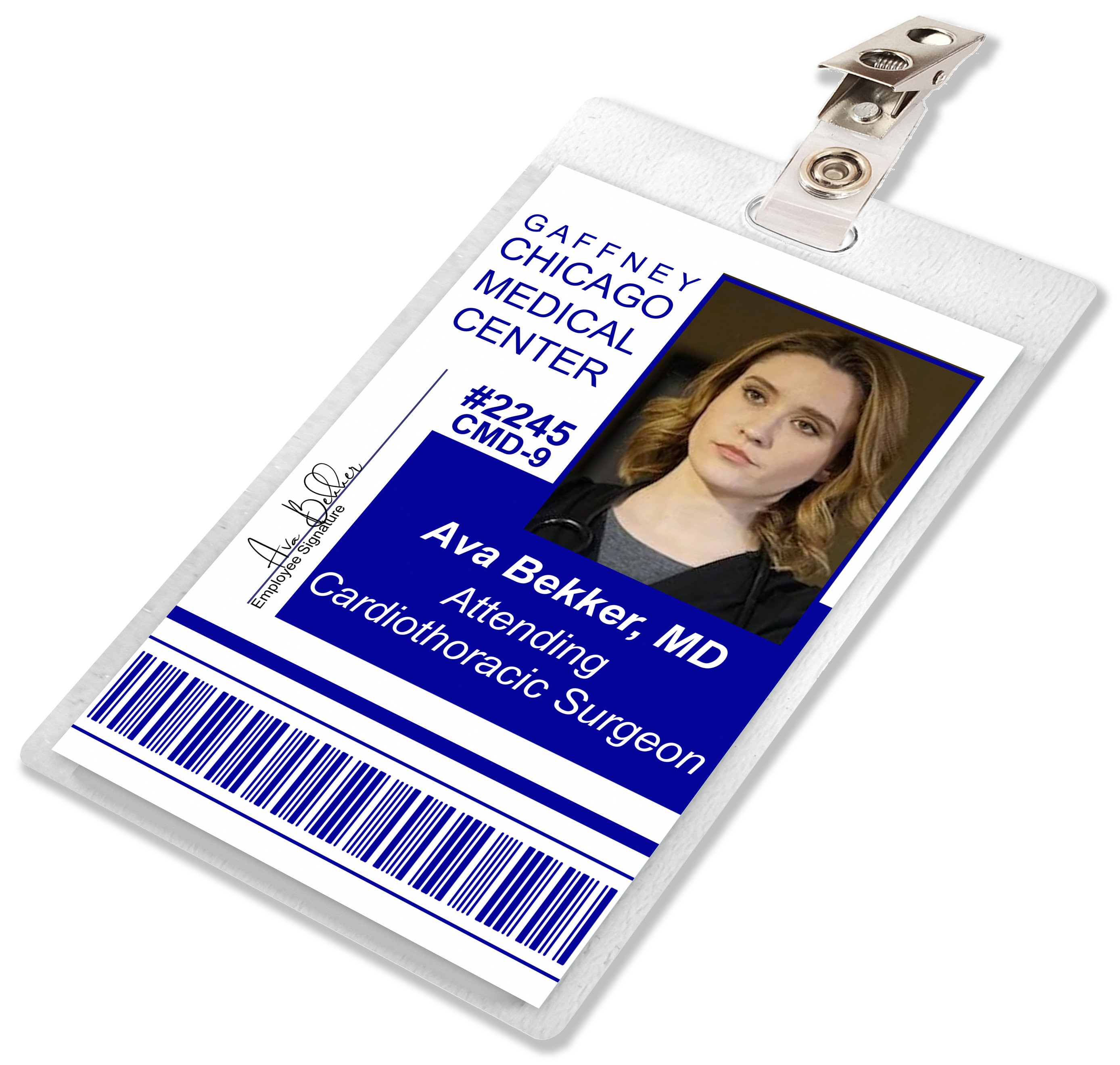 Chicago Id Card